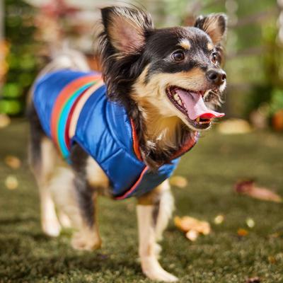 Show full view: Frisco Lightweight Reversible Striped Packable Dog & Cat Puffer, Navy, Small slide 8 of 11