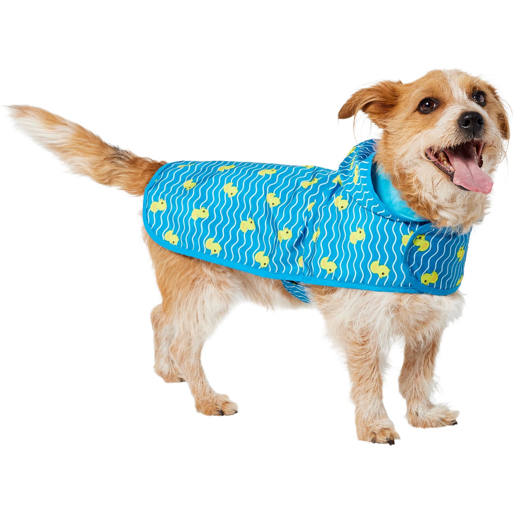 Frisco Lightweight Rubber Ducky Dog Raincoat, Blue, Large