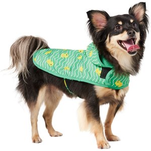 Frisco Lightweight Rubber Ducky Dog Raincoat, Green, Small