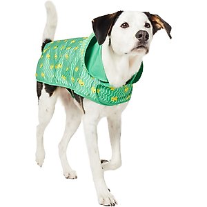 Frisco Lightweight Rubber Ducky Dog Raincoat, Green, XX-Large