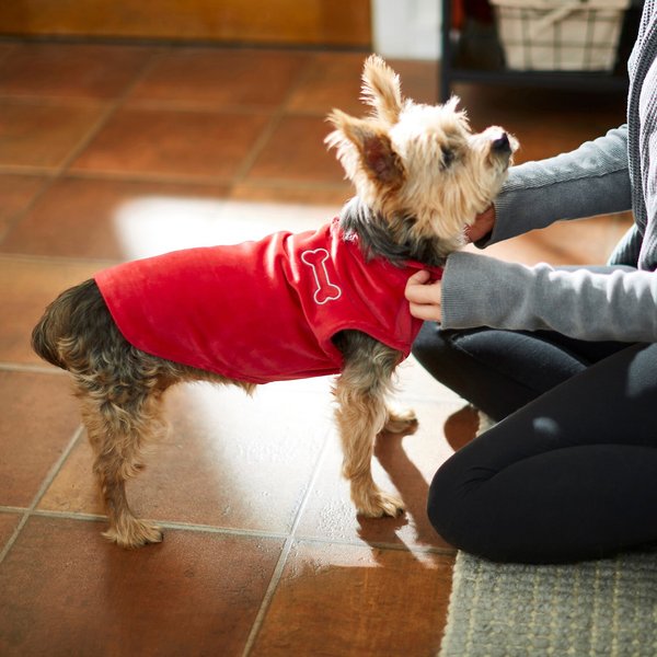 Frisco Lightweight Stretchy Dog & Cat Fleece Vest