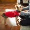 Show in main carousel: Frisco Lightweight Stretchy Dog & Cat Fleece Vest, Red, Small slide 7 of 8