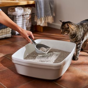 Frisco Lightweight Unscented Clumping Cat Litter, 9-lb jug