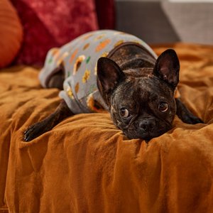 Frisco Lil Turkey Dog & Cat Fleece Pajamas, XXX-Large