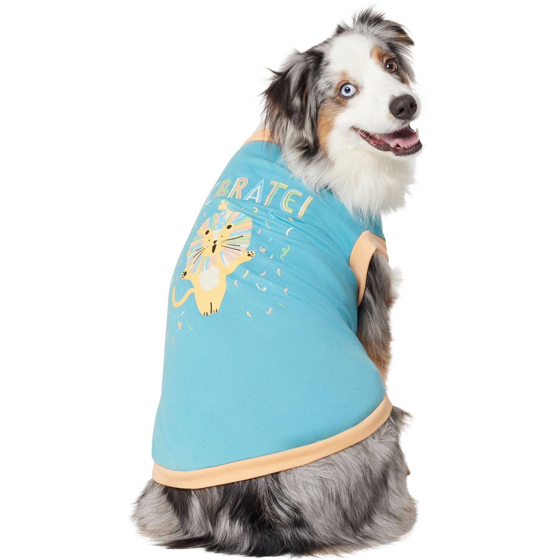 Frisco Lion Celebration Dog & Cat T-Shirt, X-Large