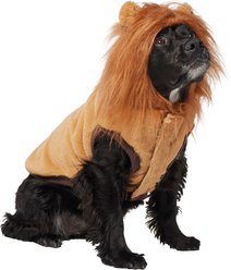 Frisco Lion Love Dog & Cat Costume, Large