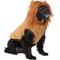 Show in main carousel: Frisco Lion Love Dog & Cat Costume, Large slide 1 of 9