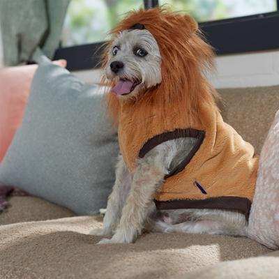 Frisco Lion Love Dog & Cat Costume