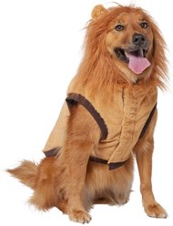 Frisco Lion Love Dog & Cat Costume, X-Large