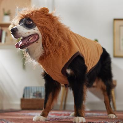 Show full view: Frisco Lion Love Dog & Cat Costume, XX-Large slide 7 of 9