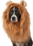 Frisco Lion Mane Dog & Cat Costume, Large