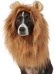 Lion Mane Dog & Cat Costume, Large