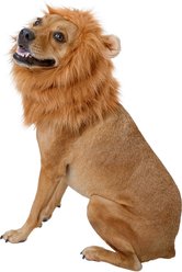 Frisco Lion Mane Dog & Cat Costume, Medium