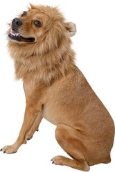 Frisco Lion Mane Dog & Cat Costume, Medium
