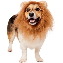 Frisco Lion Mane Dog Costume