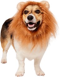 Frisco Lion Mane Dog & Cat Costume, Small