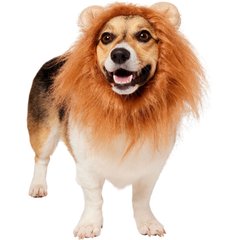 Frisco Lion Mane Dog Costume