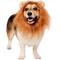 Show in main carousel: Frisco Lion Mane Dog & Cat Costume, Small slide 1 of 7