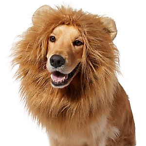 Frisco Lion Mane Dog & Cat Costume, X-Large