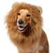 Show in main carousel: Frisco Lion Mane Dog & Cat Costume, X-Large slide 1 of 7