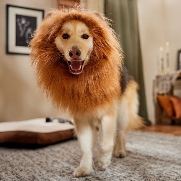 Frisco Lion Mane with Tail Dog & Cat Costume