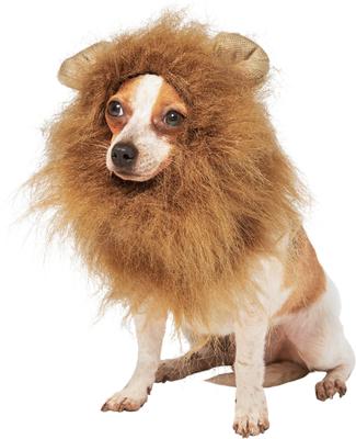 Show full view: Frisco Lion Mane Dog & Cat Costume, X-Small slide 3 of 8