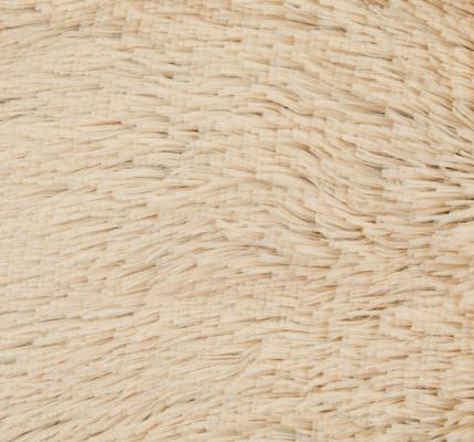 Show full view: Frisco Long Faux Fur Cat & Dog Throw Blanket, Sand, Small slide 5 of 7