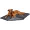 Show in main carousel: Frisco Long Faux Fur Cat & Dog Throw Blanket, Smoky Gray, Large slide 2 of 7