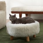 Long Faux Fur Elevated Cat Bed, Ivory
