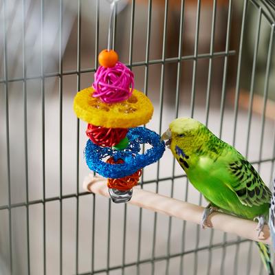 Show full view: Frisco Loofah Ball Bird Chew Toy slide 3 of 6