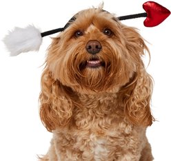 Frisco Love Arrow Dog Costume Accessory, Medium/Large