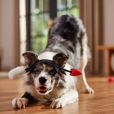 Show full view: Frisco Valentine's Love Arrow Dog Costume Accessory, Medium/Large slide 6 of 8