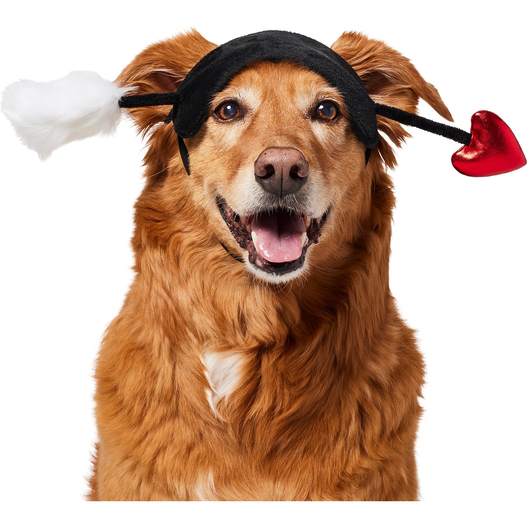 Frisco Love Arrow Dog Costume Accessory, X-Large/XX-Large