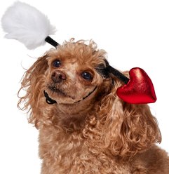 Frisco Valentine's Love Arrow Dog Costume Accessory, X-Small/Small