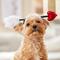 Show in main carousel: Frisco Valentine's Love Arrow Dog Costume Accessory, X-Small/Small slide 6 of 8