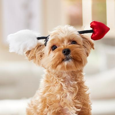 Show full view: Frisco Valentine's Love Arrow Dog Costume Accessory, X-Small/Small slide 6 of 8