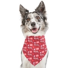 Frisco Love Letters Dog & Cat Bandana, X-Small/Small