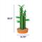 Show in main carousel: Frisco Lucky Bamboo 35.5" Cat Scratching Posts with Toys slide 2 of 7