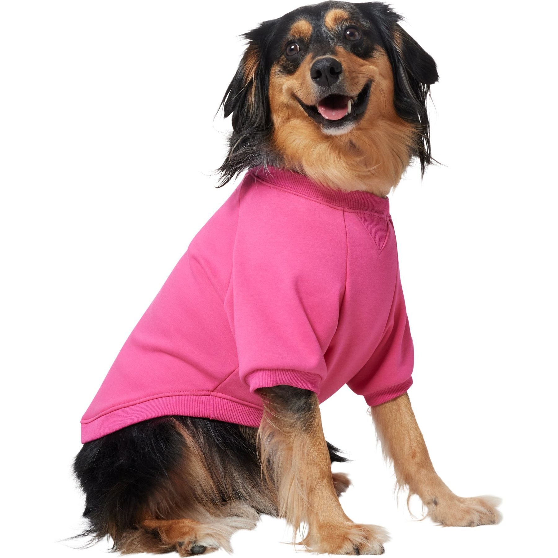 Frisco Luxe Crewneck Dog & Cat Sweatshirt, Fuchsia, Large