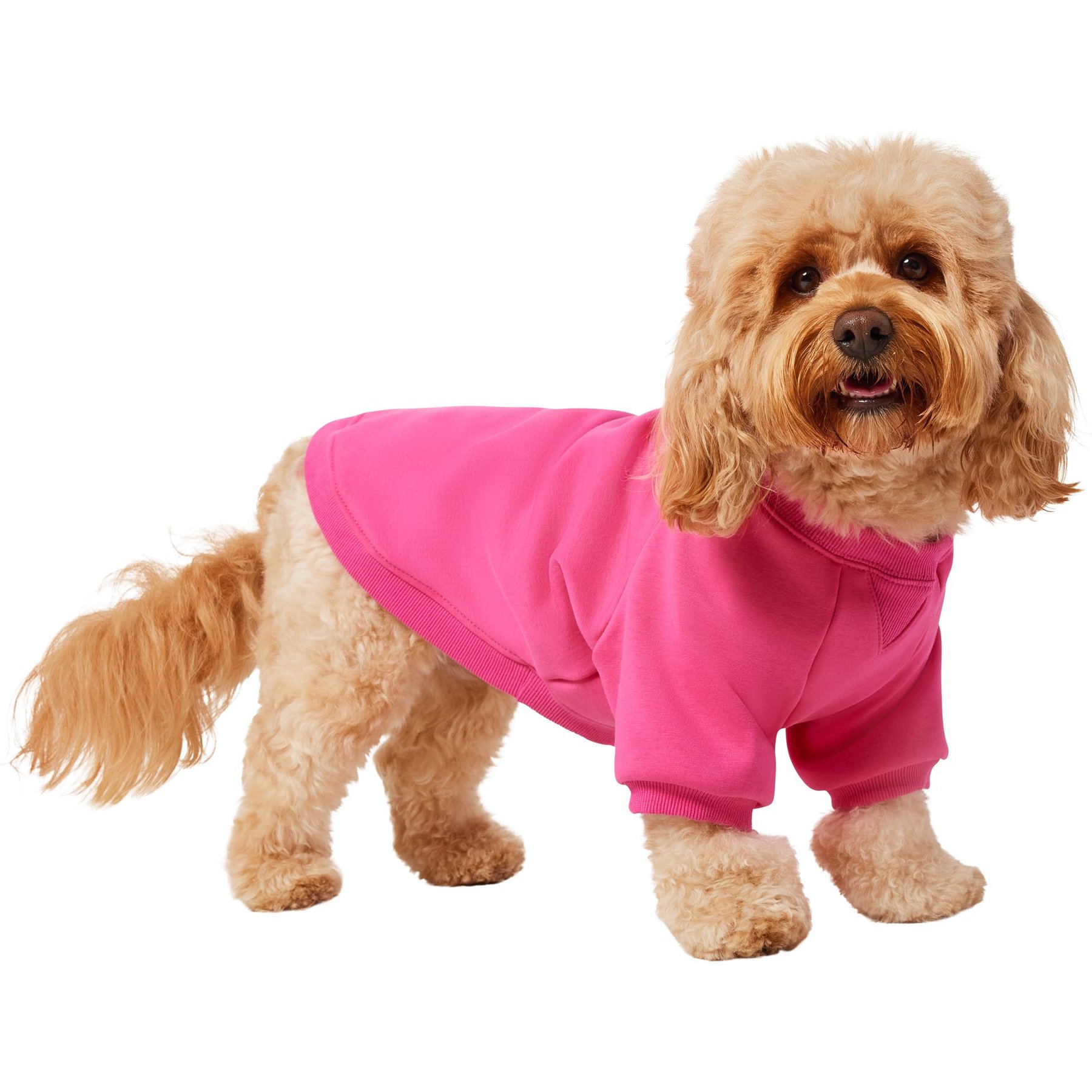 Frisco Luxe Crewneck Dog & Cat Sweatshirt, Fuchsia, Medium