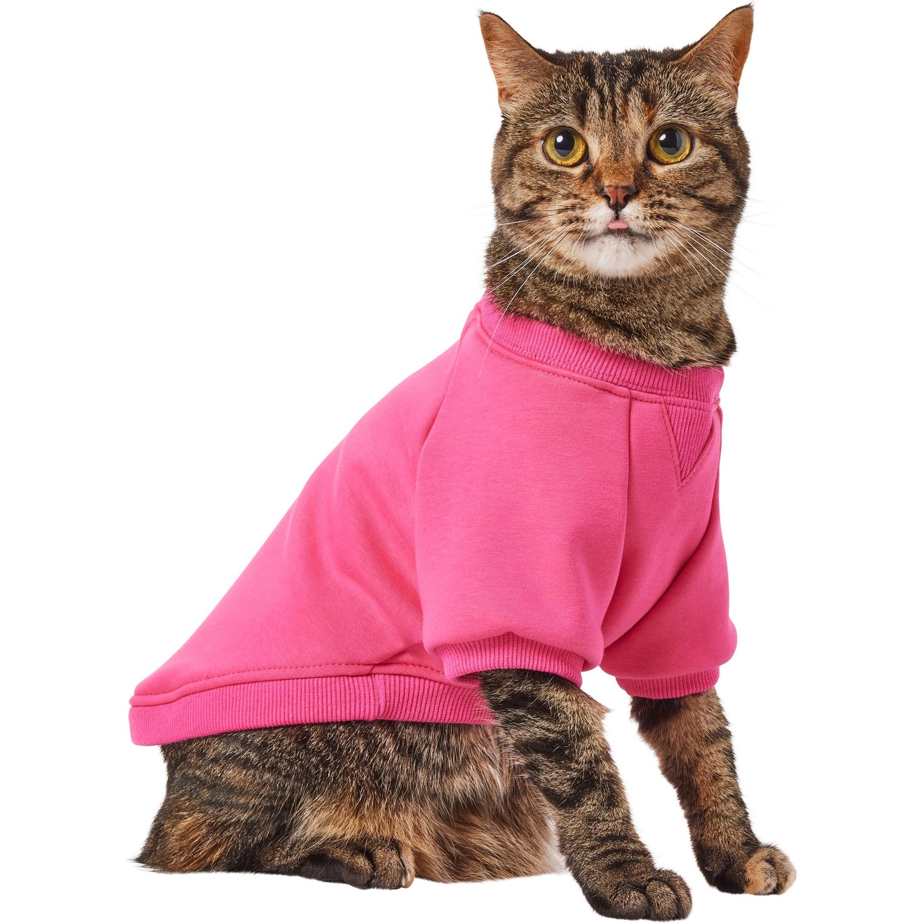 Frisco Luxe Crewneck Dog & Cat Sweatshirt, Fuchsia, Small