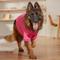 Show in main carousel: Frisco Luxe Crewneck Dog & Cat Sweatshirt, Fuchsia, XX-Large slide 6 of 9