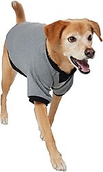 Frisco Luxe Crewneck Dog & Cat Sweatshirt, Gray, Large