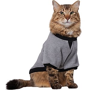 Frisco Luxe Crewneck Dog & Cat Sweatshirt, Gray, Small