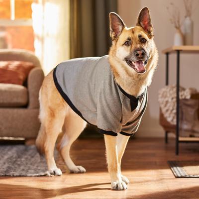 Show full view: Frisco Luxe Crewneck Dog & Cat Sweatshirt, Gray, XX-Large slide 6 of 9