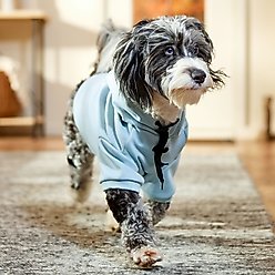 Frisco Luxe Drawstring Dog & Cat Sweatshirt Hoodie, Blue, Large slide 2 of 8