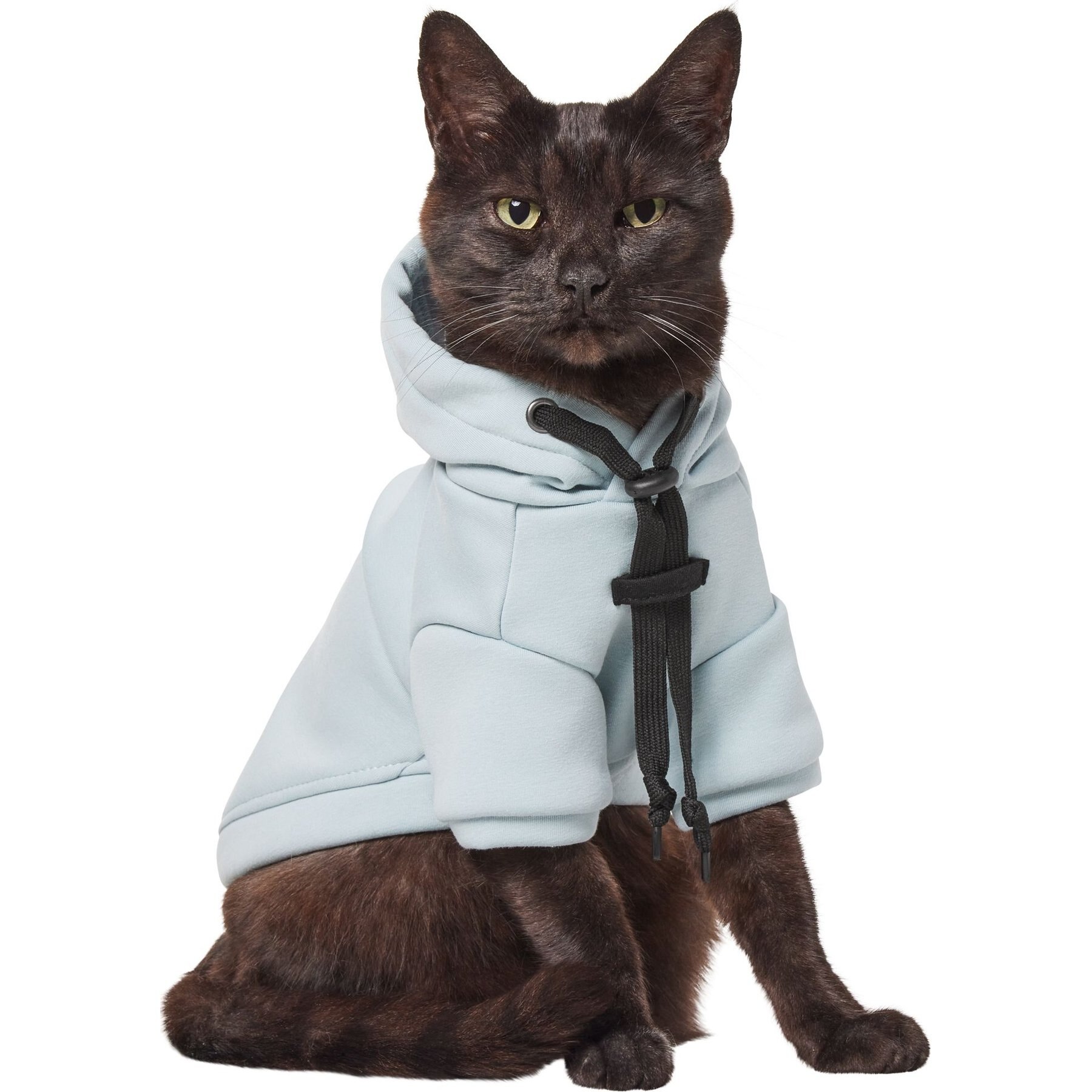 Frisco Luxe Drawstring Dog & Cat Sweatshirt Hoodie, Blue, X-Small