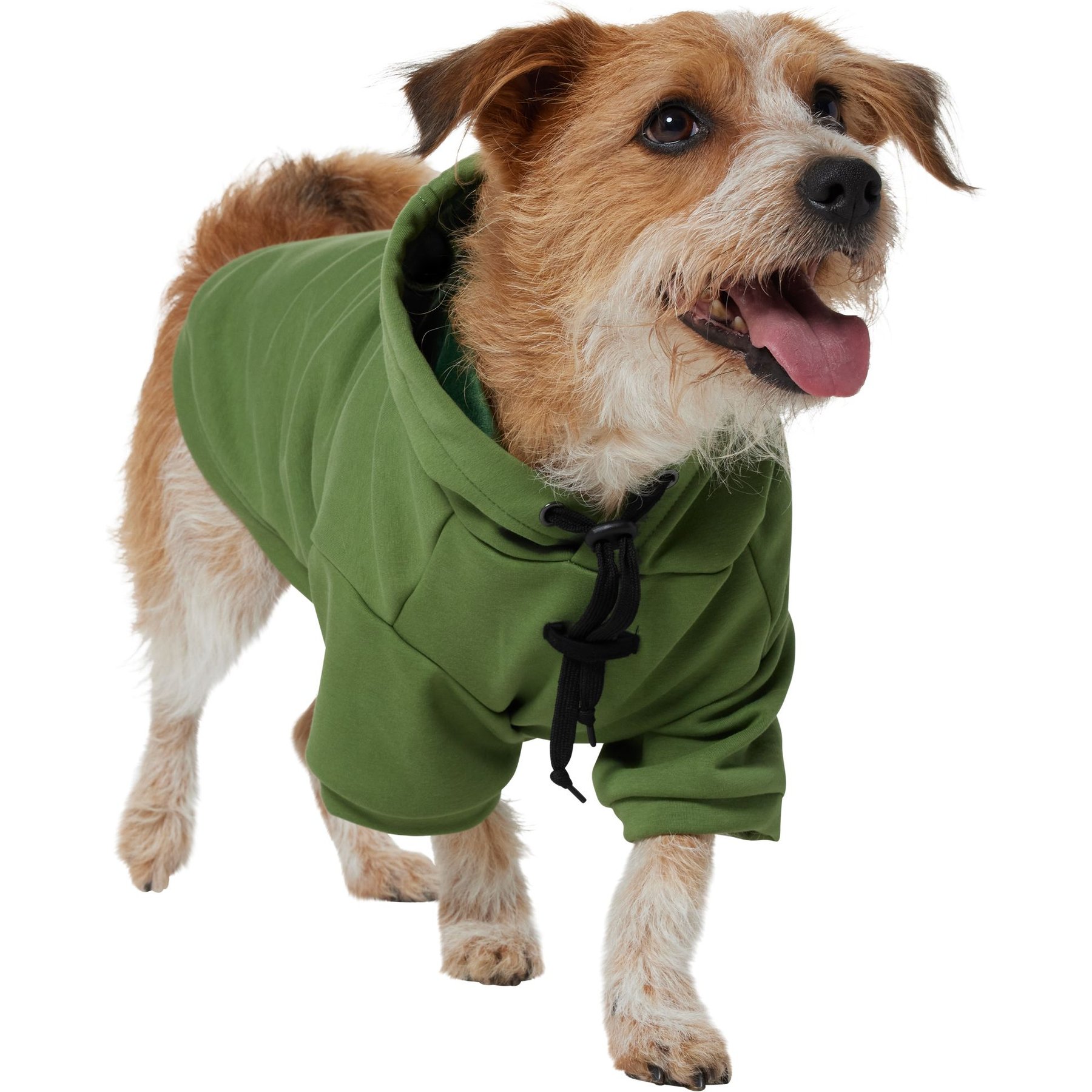 Frisco Luxe Drawstring Dog & Cat Sweatshirt Hoodie, Green, Large