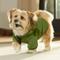Show in main carousel: Frisco Luxe Drawstring Dog & Cat Sweatshirt Hoodie, Green, Medium slide 8 of 12
