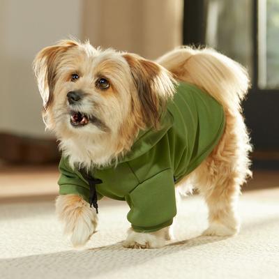 Show full view: Frisco Luxe Drawstring Dog & Cat Sweatshirt Hoodie, Green, Medium slide 8 of 12